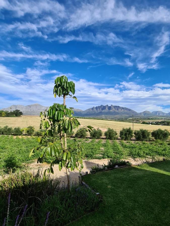 Vineyard Cottage At Bosman Wines Wellington Exteriör bild