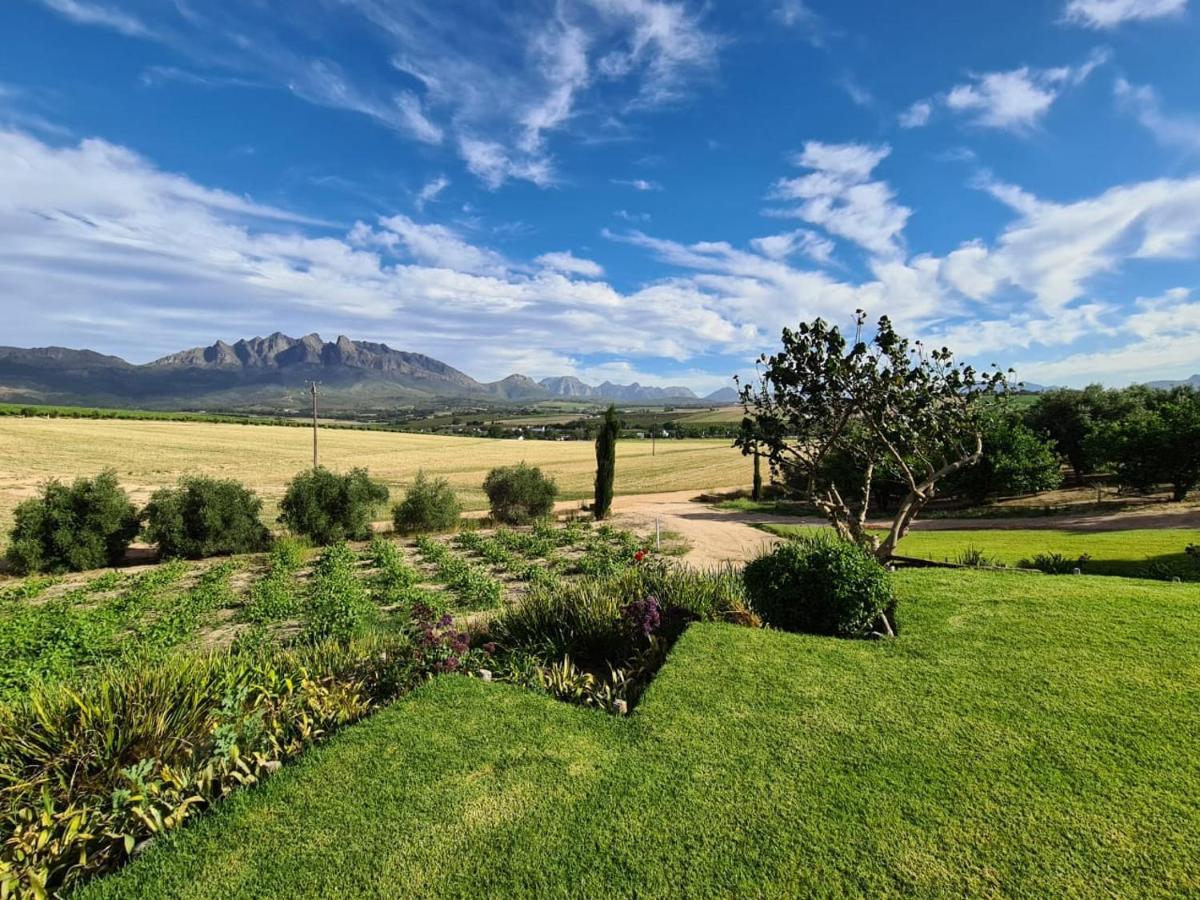 Vineyard Cottage At Bosman Wines Wellington Exteriör bild