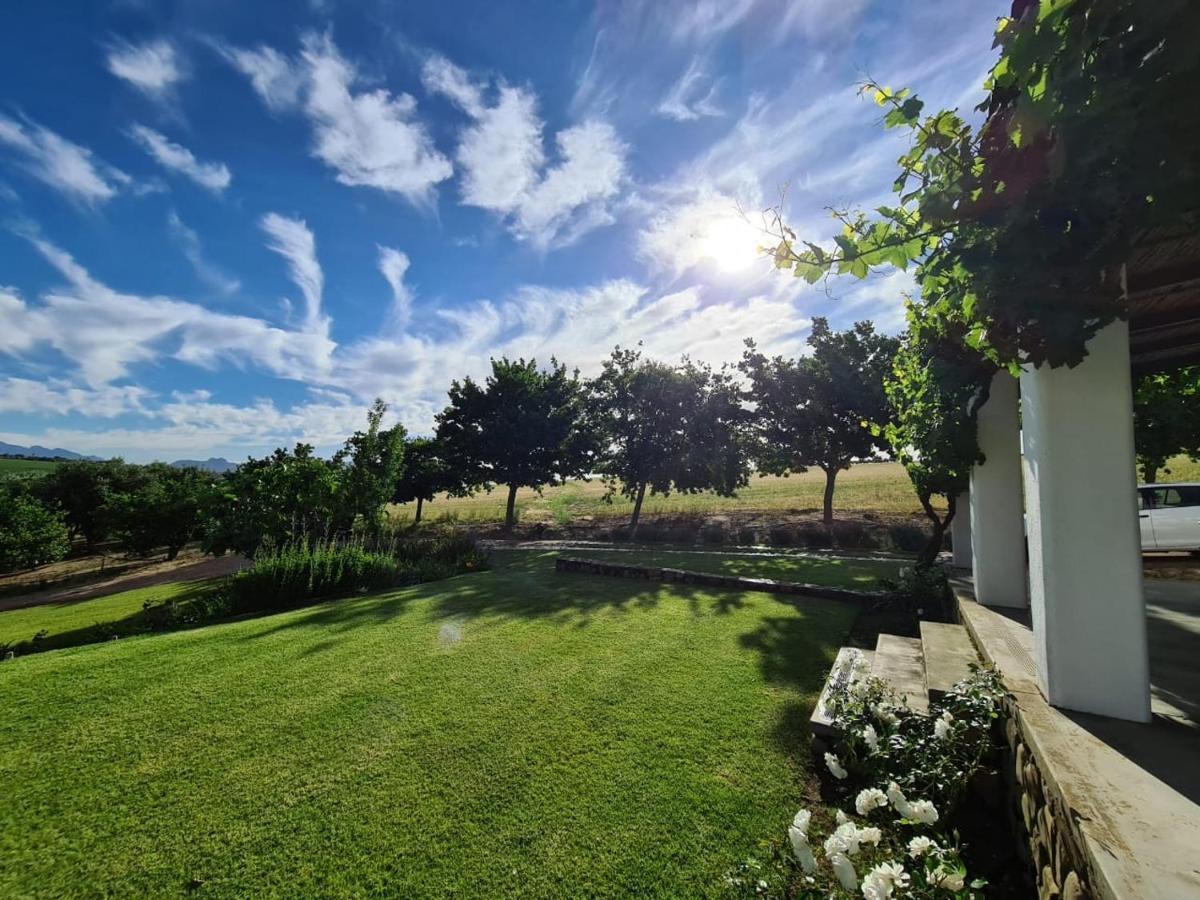 Vineyard Cottage At Bosman Wines Wellington Exteriör bild