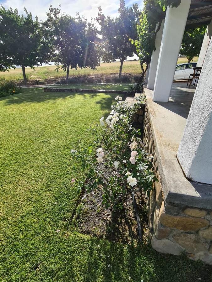 Vineyard Cottage At Bosman Wines Wellington Exteriör bild