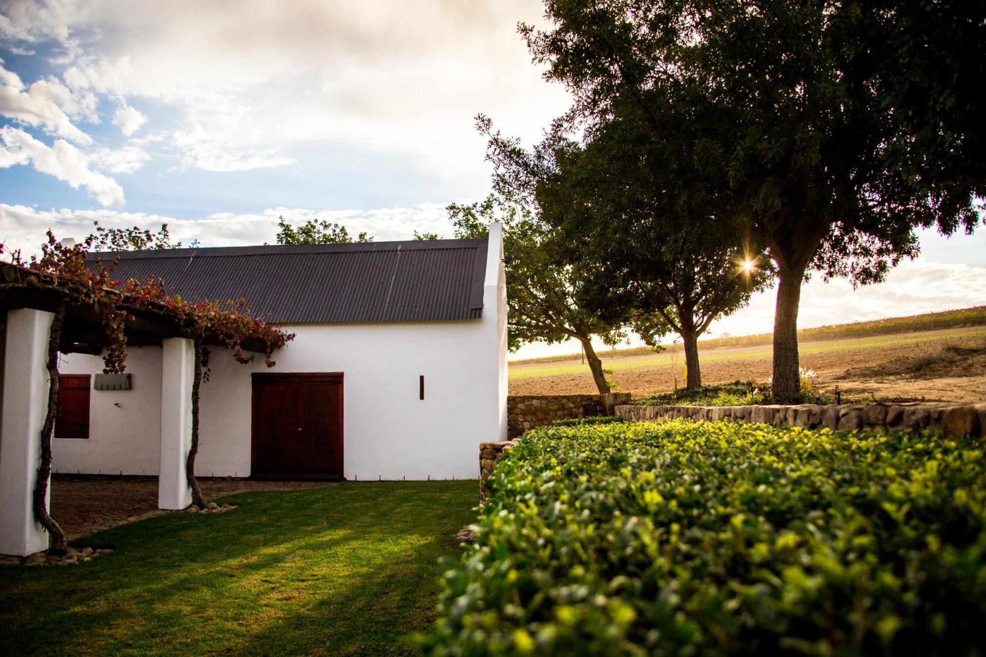 Vineyard Cottage At Bosman Wines Wellington Exteriör bild