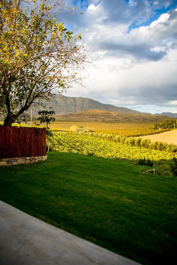 Vineyard Cottage At Bosman Wines Wellington Exteriör bild